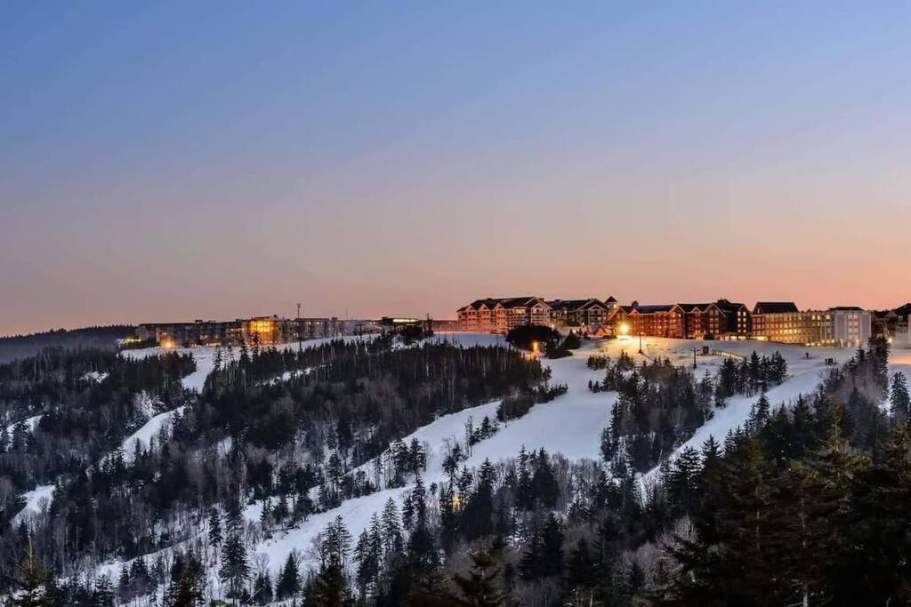Mountain Lodge Getaway, Ski-In/Ski-Out, Heart Of The Village 斯诺肖 外观 照片
