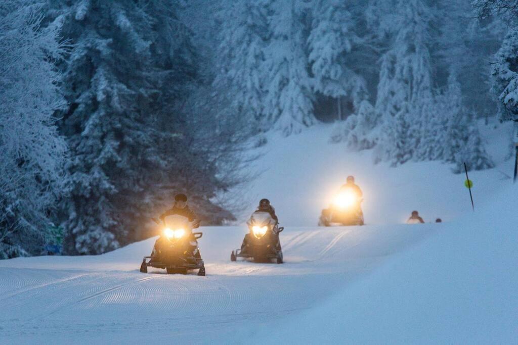 Mountain Lodge Getaway, Ski-In/Ski-Out, Heart Of The Village 斯诺肖 外观 照片